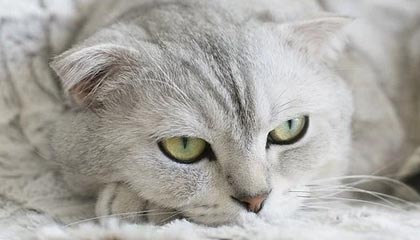 王钰栋：西安的氛围非常好；我们上半场在一侧打的太多